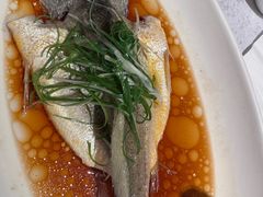 豉油蒸黄鱼-金美华轩(东方路齐鲁店)