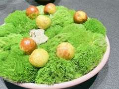 -会仙楼(金融街店)