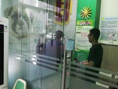 -半岛宠物医院24小时(科华中路店)