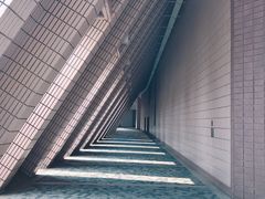 -星光大道
