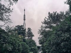 -潜山国家森林公园