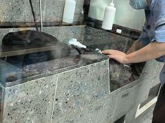 -宠物家(大兴旧宫店)