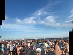 -碧海金沙