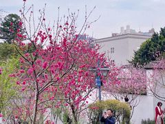 -乌山风景区