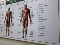 -通透堂中医·精准推拿(万科云城分院)