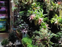 -武汉花鸟市场