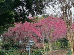 -乌山风景区