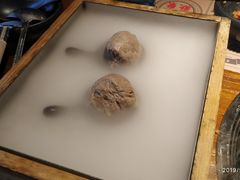 -原牛道·潮汕围炉火锅(讯美店)