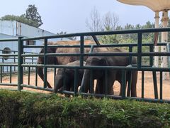 -秦皇岛野生动物园