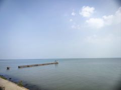 -贡湖湾湿地公园