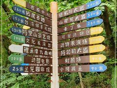 -田野绿世界
