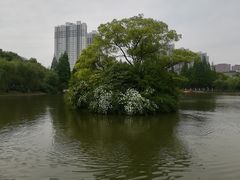 -荆川公园