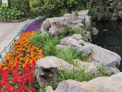 -菊花台公园