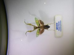 -香港科学馆
