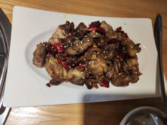 -守柴炉烤鸭(科华中路王府井店)