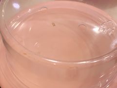 一肚子气-争鲜回转寿司(东方银座店)