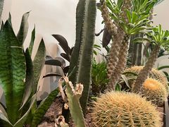 -J Create城市露营咖啡·简餐·宠物(上海动物园店)