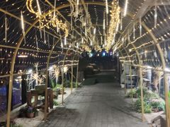 -冰冰龙虾·江湖菜·花园江景餐厅