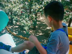 -朝阳公园游乐园