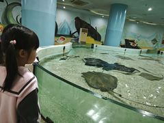-台州海洋世界