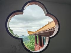 -深圳仙湖植物园