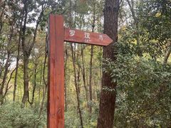 -青龙山国家森林公园