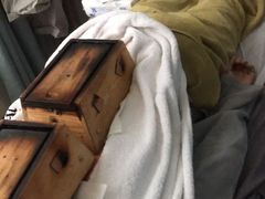 -承启堂中医馆·推拿·针灸(成华馆)