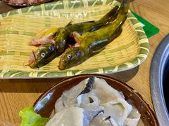 鲜活黄辣丁-铭记蛙小仙·活蛙畅享(CBD万达广场店)