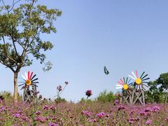 -同里国家湿地公园