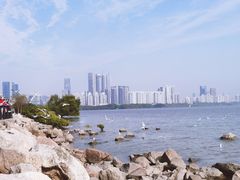-深圳湾公园(南山区)