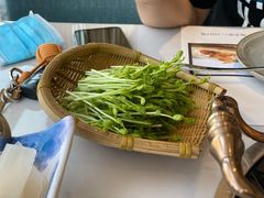 有机豆苗-菌子鲜汤野生菌锅