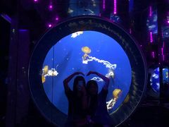 -成都浩海立方海洋公园