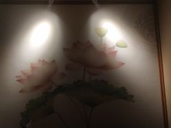 -御品•瑶浴灸疗SPA