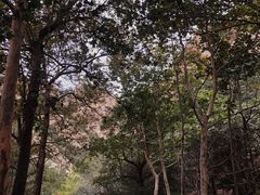 -昆嵛山石门里景区