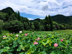 -贵阳市花溪国家城市湿地公园