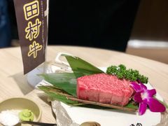 -俺的焼肉(銀座9丁目店)