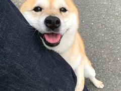 -三旗百汇商品城