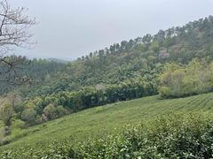 -敬亭山风景名胜区