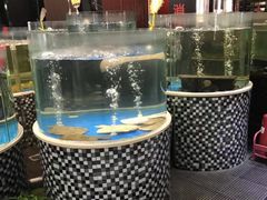 -蓬川食府(金海道店)