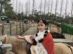 -前小桔亲子创意农场·草莓采摘·露营烧烤