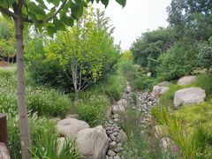 -莲花池公园