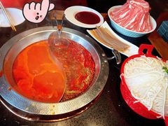 -宽巷子成都火锅(南站店)