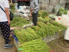 -重振华中蔬菜批发市场(重庆中路店)