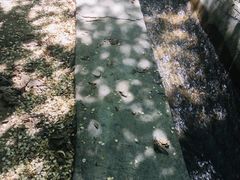 -水磨沟公园