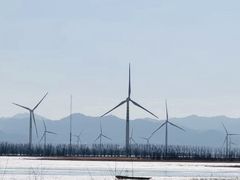 -野鸭湖国家湿地公园