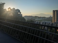 -福道