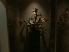 -益健·足疗汗蒸SPA(芙蓉广场店)