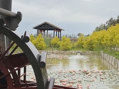 -漩门湾国家湿地公园