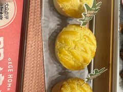 -羽鸽集·乳鸽专门店·地道顺德菜(岭南站店)