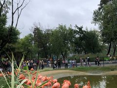 -武汉动物园